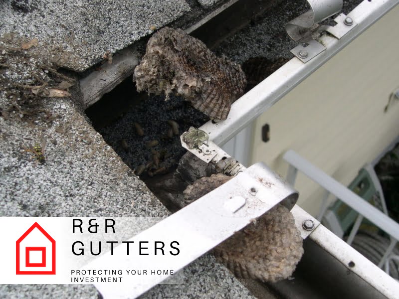 Pests R&R Gutters Pests R&R Gutters